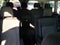 2023 Ford Transit Passenger Wagon T-350 148" Low Roof XLT RWD