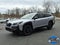 2025 Subaru Outback Wilderness AWD