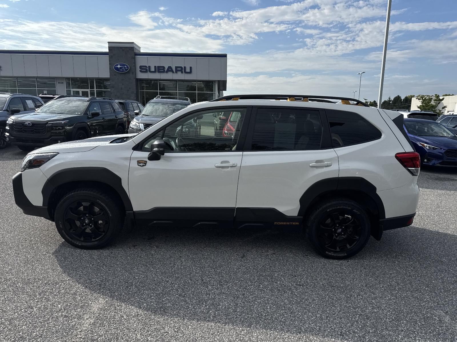 2023 Subaru Forester Wilderness CVT
