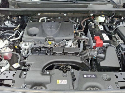 2019 Toyota RAV4 LE AWD (Natl)