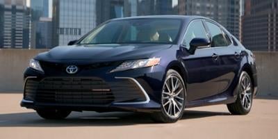 2024 Toyota Camry XLE Auto AWD (Natl)