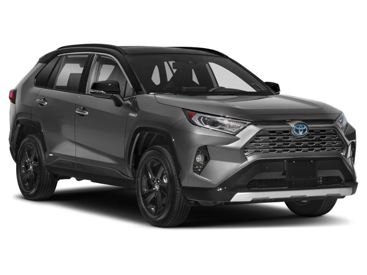 2019 Toyota RAV4 Hybrid XSE AWD (Natl)