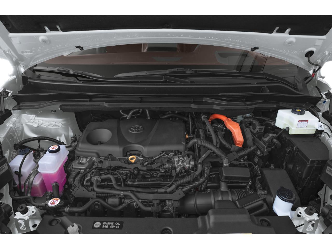 2025 Toyota Sienna Platinum AWD 7-Passenger (GS)