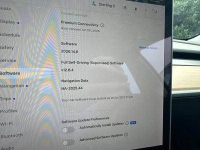 2021 Tesla Model 3 Performance AWD