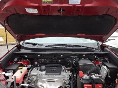 2018 Toyota RAV4 XLE AWD (Natl)