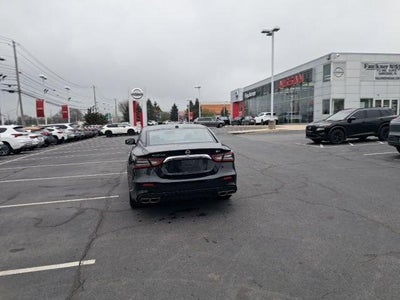 2023 Nissan Maxima SV